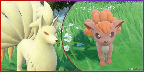how to evolve vulpix in pokemon sword